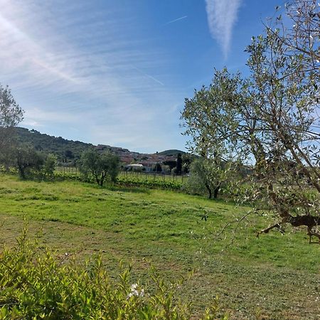 Bed and Breakfast Vento E Mare Riotorto Zewnętrze zdjęcie