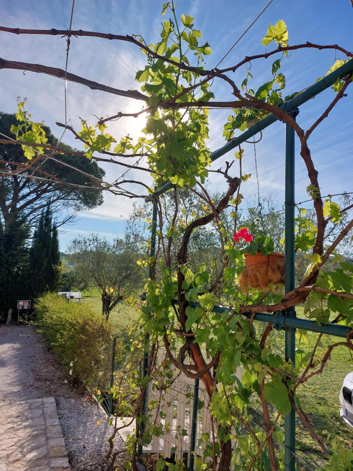 Bed and Breakfast Vento E Mare Riotorto Zewnętrze zdjęcie