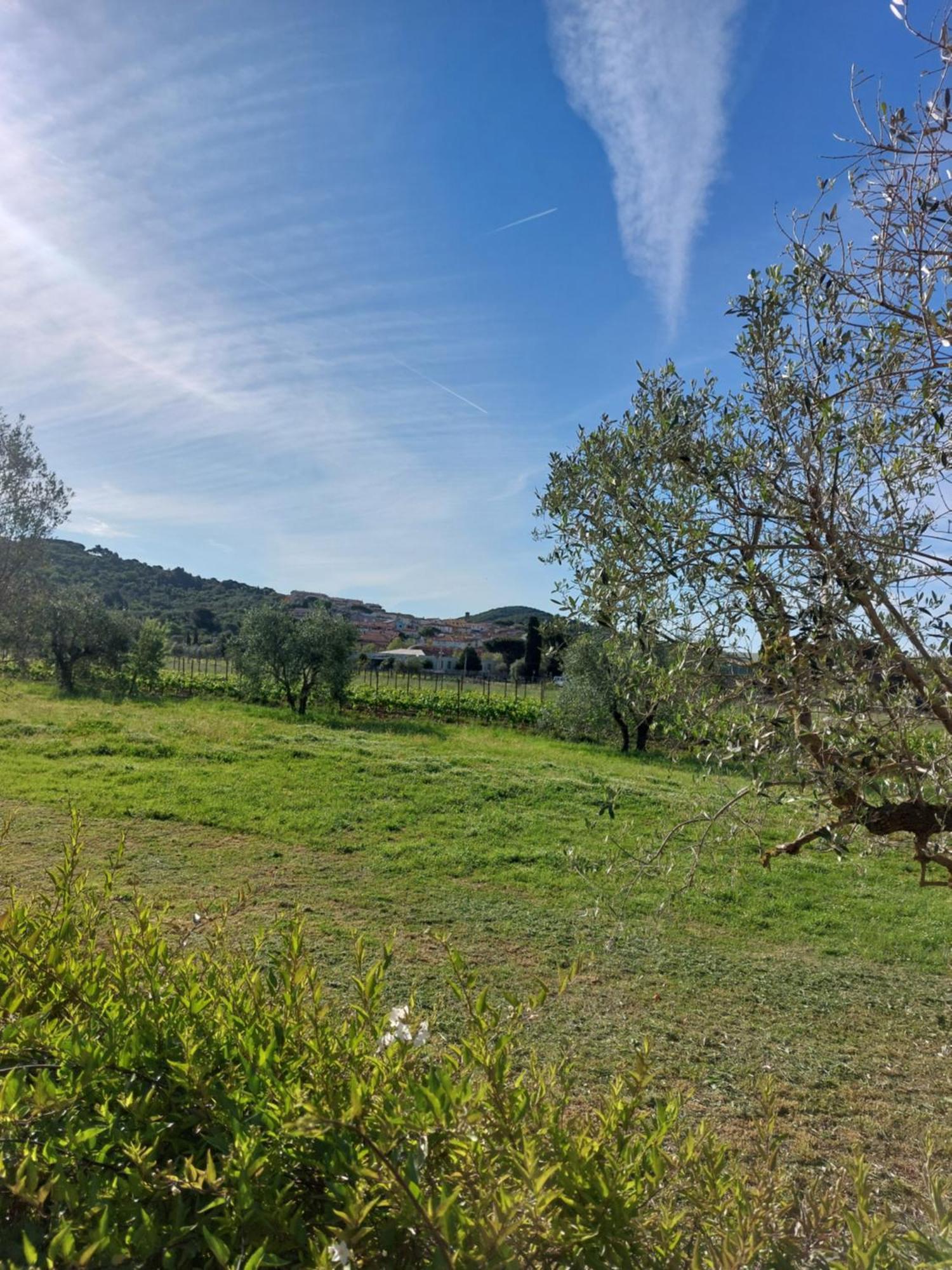 Bed and Breakfast Vento E Mare Riotorto Zewnętrze zdjęcie